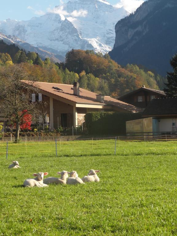 Apartment Beck Wilderswil Buitenkant foto